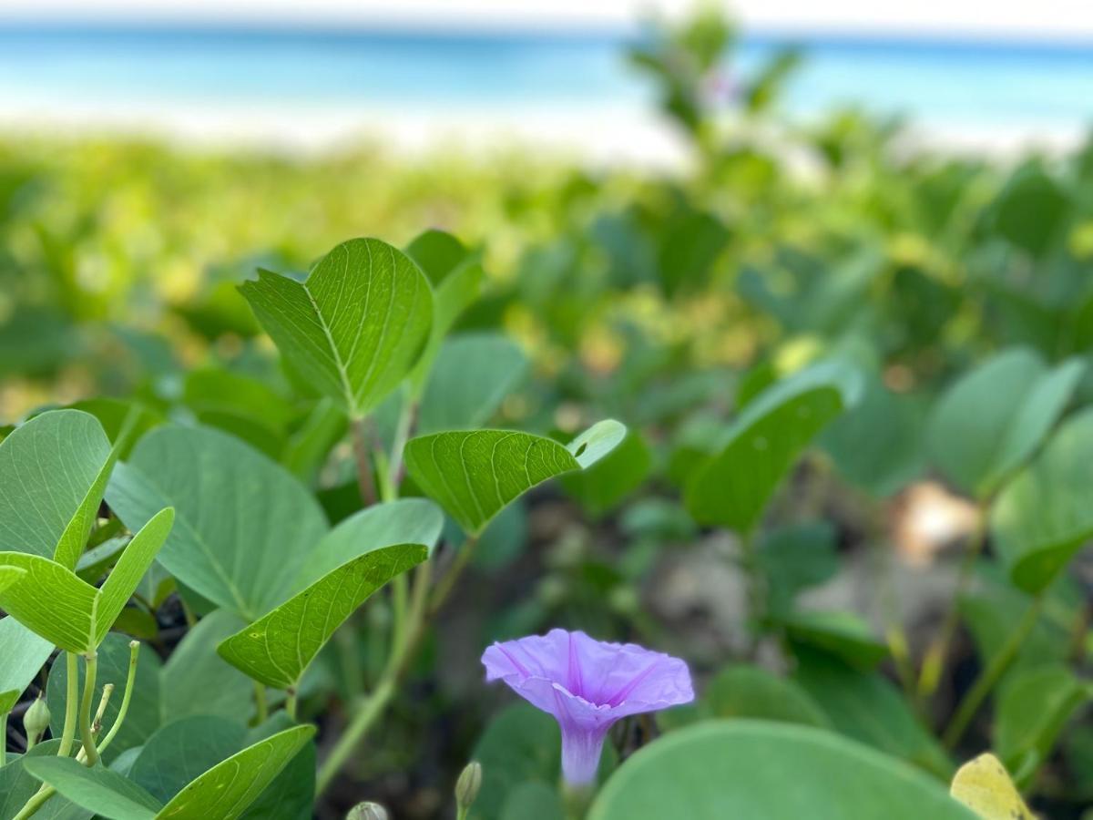 Lanta smile inn Ko Lanta Eksteriør bilde